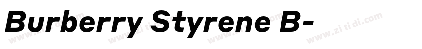 Burberry Styrene B字体转换